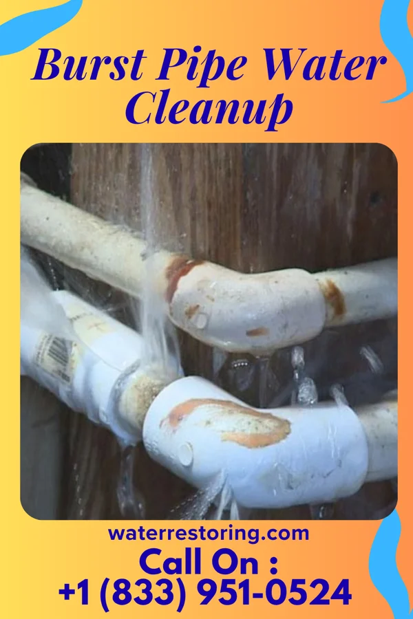 Burst Pipe Water Cleanup in Five Points, NC