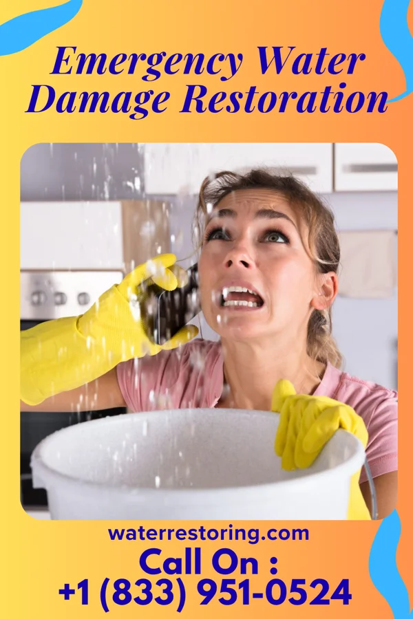 Emergency Water Damage Restoration in Five Points, NC