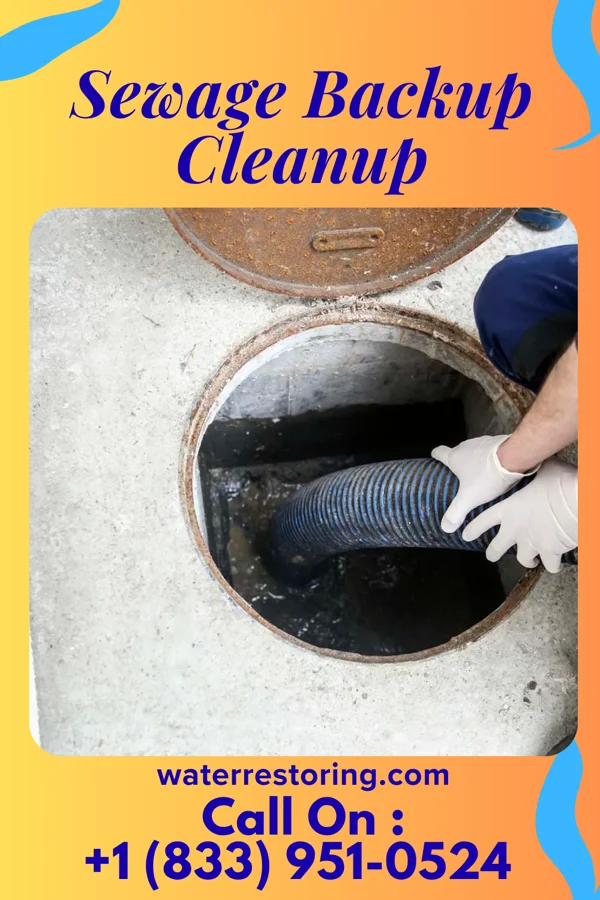 Sewage Backup Cleanup in Five Points, NC